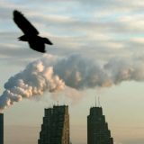 Država finansira zagađivače, za građane ne brinu 3