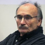 Petričić: Notorna je laž sve što su Vesić i Vulin izgovorili 4