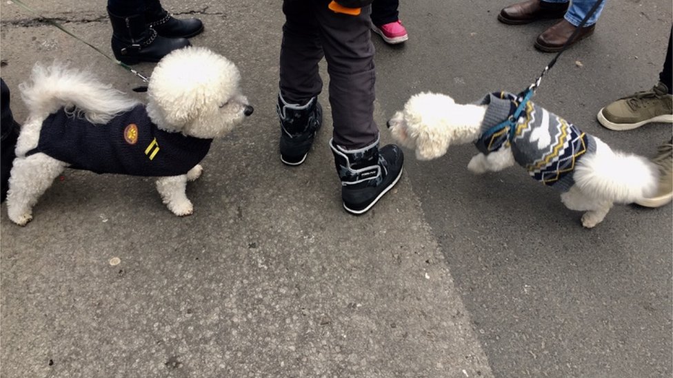 Koncert klasične muzike na platou ispred Narodne Skupštine, Beograd, 1.1.2019.