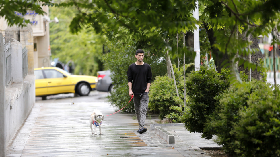 Čovek sa psom u Teheranu, maj 2018.