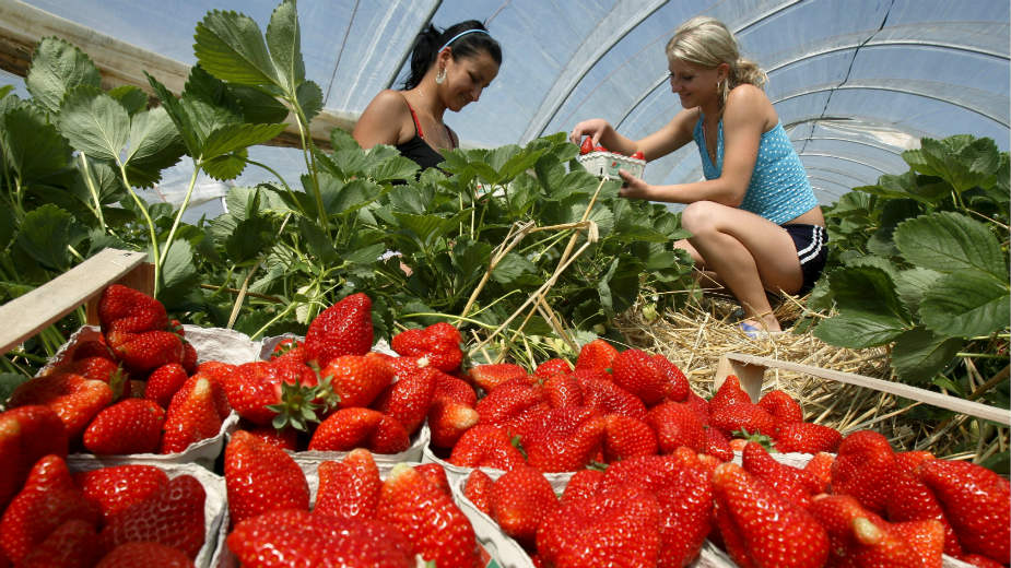 Portal još nije potpuno spreman, prvi korisnici već registrovani 1