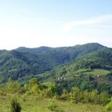 Evropski centar za ekologiju i "Zeleni Šabac" prikupljaju potpise 11