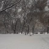 Vranje pod snežnom blokadom, nadležni ćute 4