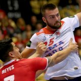 Laka norveška "konjica" 8