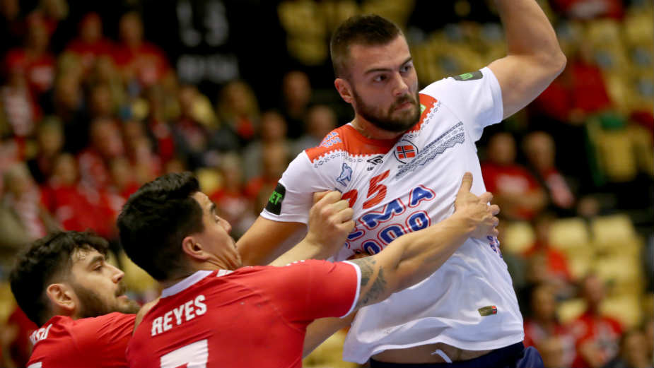 Laka norveška "konjica" 1