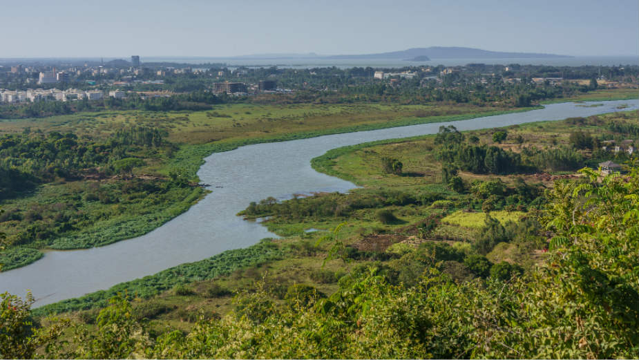 Afrika (4): Skriveni od nepoželjnih posetilaca 1