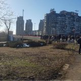 Zelena stranka: Beogradu treba milion stabala novog drveća 13