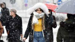 Zavejana Srbija: Oko 2.200 ljudi čisti puteve i posipa so (FOTO) 7