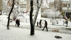 Zavejana Srbija: Oko 2.200 ljudi čisti puteve i posipa so (FOTO) 10