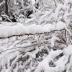 Drastična promena vremena: U Hrvatskoj pao sneg 14