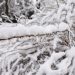 Drastična promena vremena: U Hrvatskoj pao sneg 1