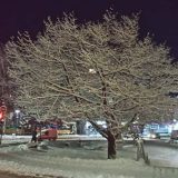 Nedostaju projekti i kadrovi 5