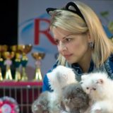 Novogodišnji mačkenbal na Mrnjau Festu 12. i 13. januara 13