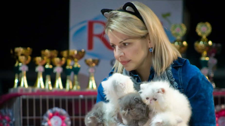 Novogodišnji mačkenbal na Mrnjau Festu 12. i 13. januara 1