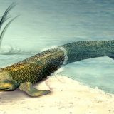 Kako smo izašli iz vode? (2. deo) 13