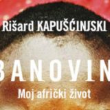 Razgrtanje iverja crnog čvrstog drveta 15