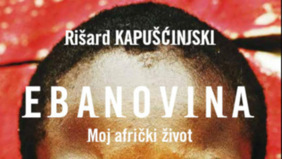 Razgrtanje iverja crnog čvrstog drveta 1