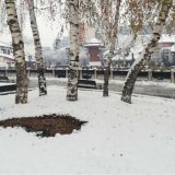 Novi Pazar i dalje bez direktnih investicija 14