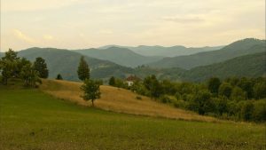 Meho Mahmutović član Nadzornog odbora Nacionalnog parka „Đerdap“: Doktor opšte prakse 2
