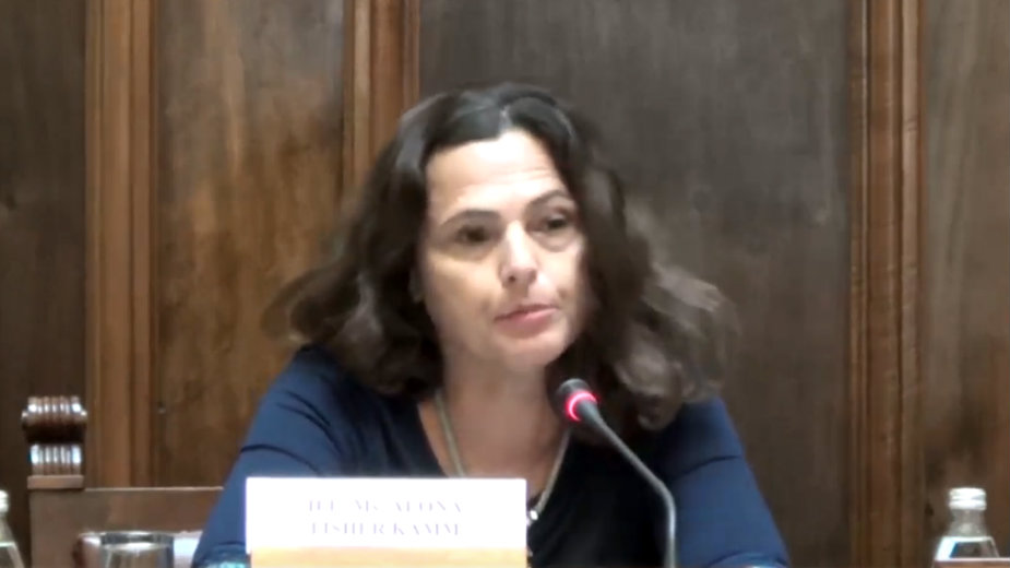 Fišer Kam: Nasilje na etničkoj osnovi opasno, lideri da pošalju jasnu poruku 1