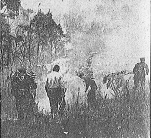 Naučna otkrića i neuspesi pre 80 godina 3