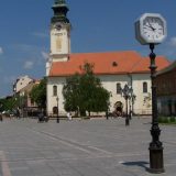 Ultradesničari izlepili plakate po Somboru, pozivaju na linč onih koji pomažu migrantima 14