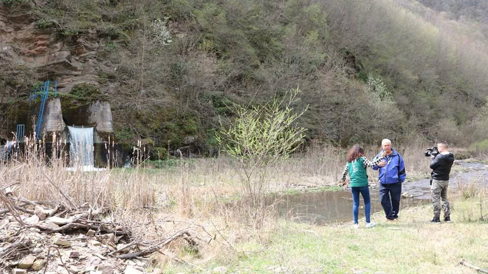 Vojvođanska zelena inicijativa: Sistem građane vidi kao remetilački faktor 4 Vojvođanska zelena inicijativa: Sistem građane vidi kao remetilački faktor 4
