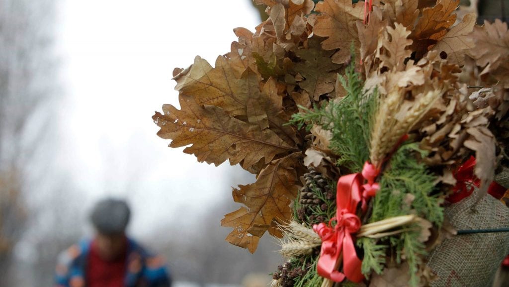 Nacionalni park Fruška gora deli 10.000 besplatnih badnjaka 1