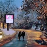 Dobrica Ćosić i Milorad Ekmečić dobijaju ulice na inicijativu Aleksandra Vučića 12