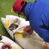 U Tokiju tuna prodata za rekordnih 2,7 miliona evra 13