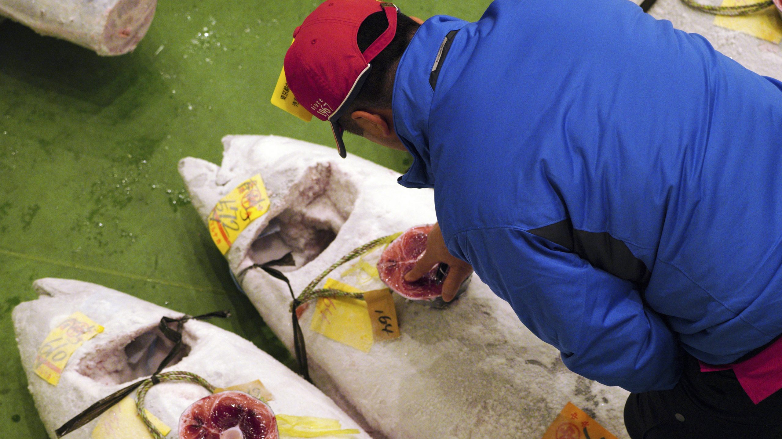 U Tokiju tuna prodata za rekordnih 2,7 miliona evra 1