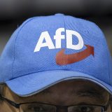Nemačka stranka AfD pod pretnjom nadzora obaveštajne službe 11