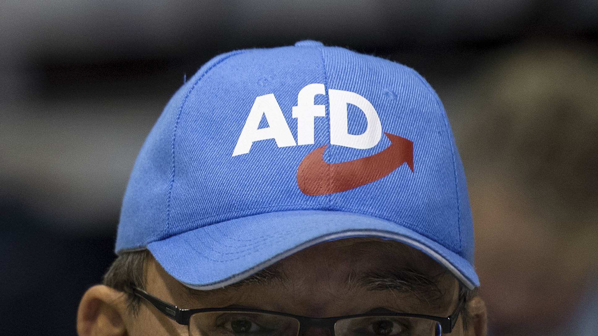 Nemačka stranka AfD pod pretnjom nadzora obaveštajne službe 1
