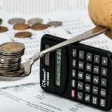 Suficit 64,8 milijardi dinara, javni dug 52 odsto BDP-a 1