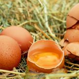 Ubuduće u prometu samo jaja klase A 6