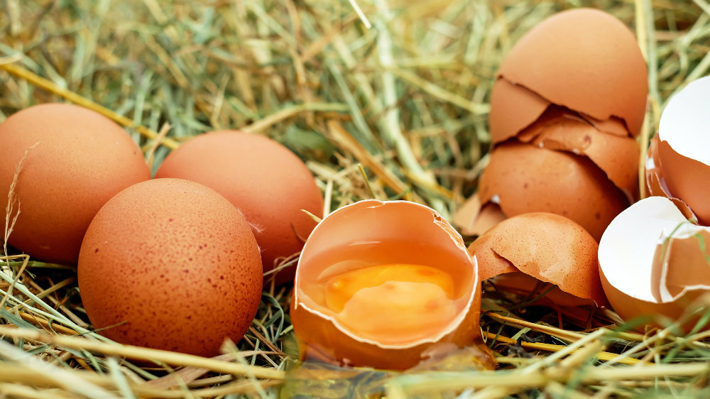 Za nedelju dana jaje postalo najpopularnija fotografija na Instagramu 1