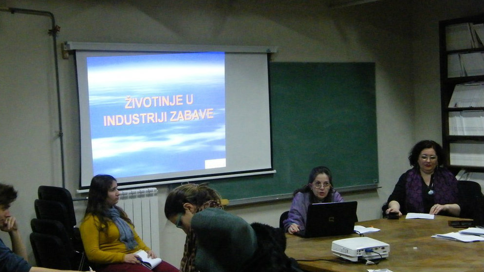 Udruženje za zaštitu životinja “Feniks”: Javnost stavom može uticati na vlast 1 Udruženje za zaštitu životinja “Feniks”: Javnost stavom može uticati na vlast 1