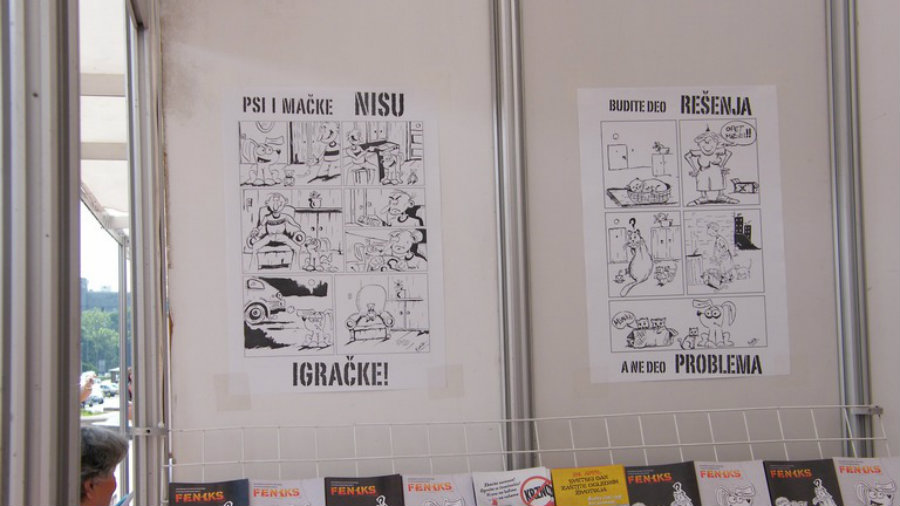 Udruženje za zaštitu životinja “Feniks”: Javnost stavom može uticati na vlast 3 Udruženje za zaštitu životinja “Feniks”: Javnost stavom može uticati na vlast 3