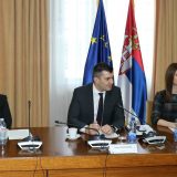 Đorđević: Tim za praćenje ekonomskih migracija sprečava odlazak ljudi iz Srbije 14