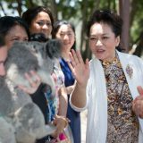 Kuce, pande, konji, kornjače, slonovi u službi diplomatije 3