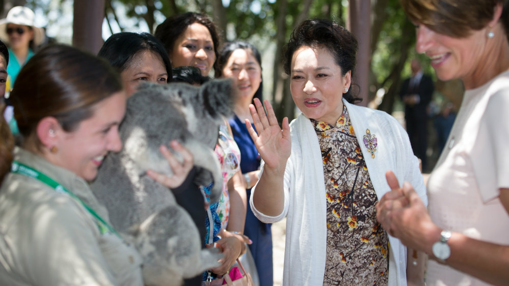 Kuce, pande, konji, kornjače, slonovi u službi diplomatije 1