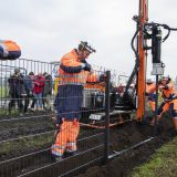 Danci grade ogradu dugu 70 km za zaštitu od svinjske groznice 13