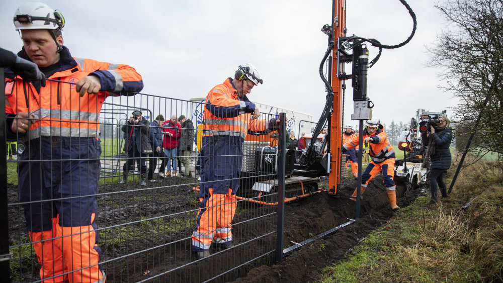 Danci grade ogradu dugu 70 km za zaštitu od svinjske groznice 1