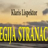 Čudesni trenutak ličnog preobražaja 7