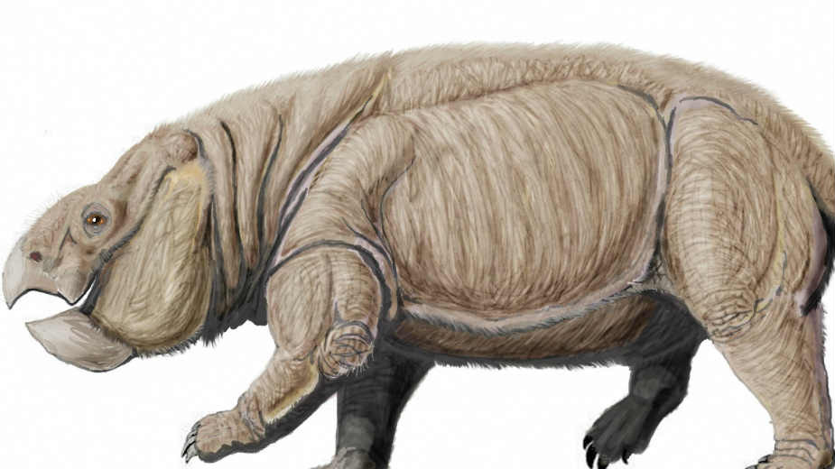 Otkriven džinovski rođak sisara (2. deo) 1