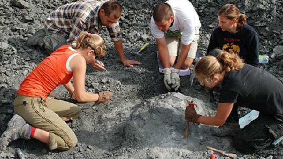 Otkriven džinovski rođak sisara (3. deo) 1