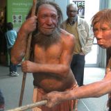 Neandertalci su bili kadri da ubiju plen sa distance (2. deo) 2