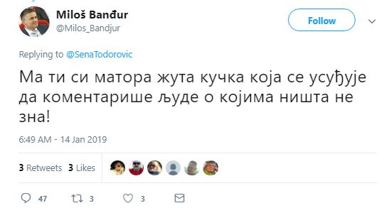 NUNS osudio Banđurove uvrede upućene Seni Todorović 2