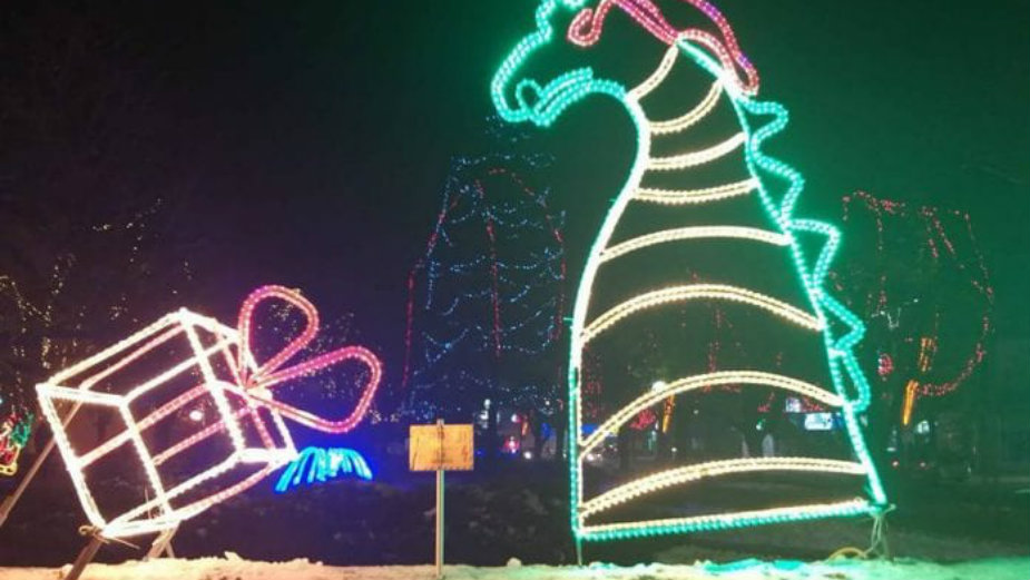 Novogodišnja rasveta u Zaječaru: Da li će rekord biti oboren? 1