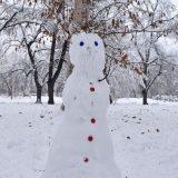 Sneško Belić zaustavio putnički voz na ulazu u Prokuplje 3